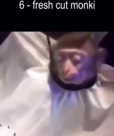 Ey that's cool fr bro but watch this