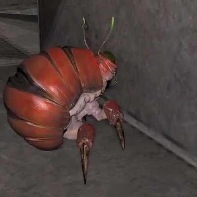 What is wrong with him? SMH 🤦‍♂️🤦‍♂️