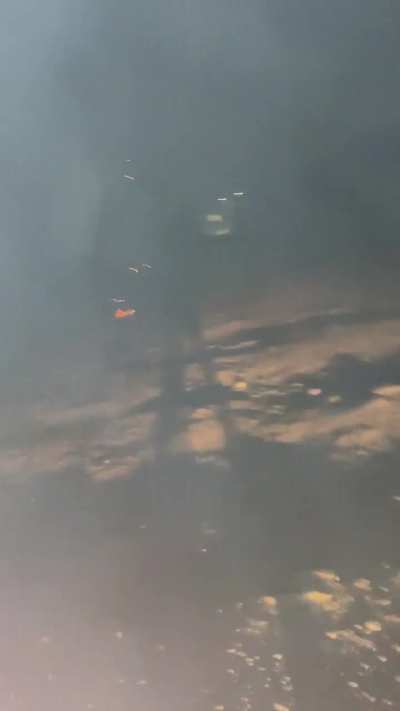 Italian Rendino (1g)