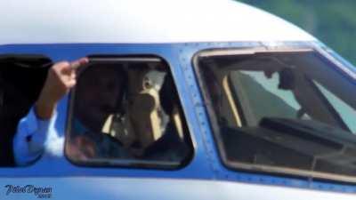 Couldn’t find the original so I remade it as close as I could remember