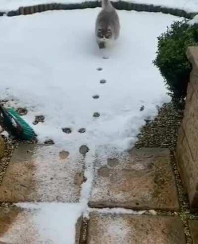 Perfect footsteps tracing