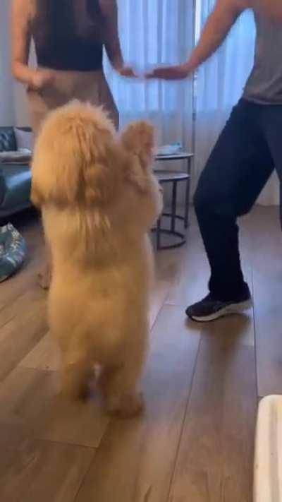 World's Happiest Dod 💓 😊😅