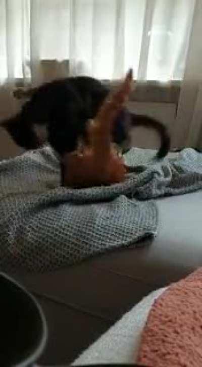 After losing the element of suprise a hasty retreat is called