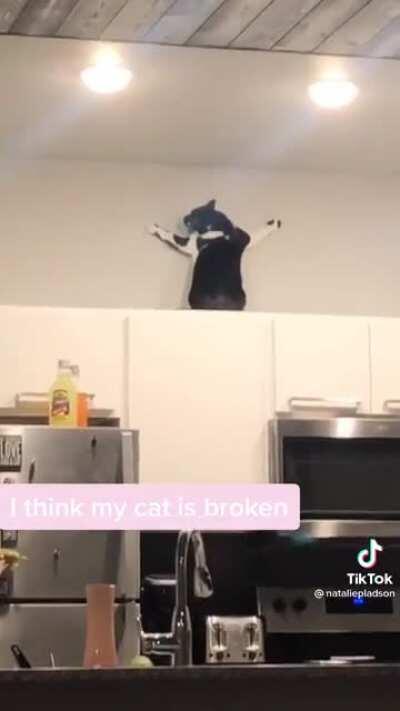 greebles found above the cabinets