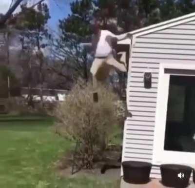 Roof Scorpion