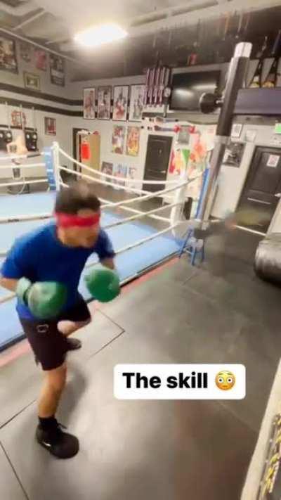 Blindfolded boxer beats up a stick
