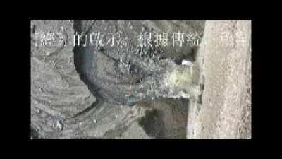 😳MOMENTO EPICO 😎🧎SLITHER.IO 🐍METTI LIKE 👍E CONDIVIDI🌐E ISCRIVITI🔔 🤠E SEGUI🏃 🏃5️⃣LA PAGINA INSTAGRAM📸 E METTI👨‍🦼 POLLICE IN SU 👍E TAGGA 5 5️⃣AMICI (AMICI)🙋‍♀️ O PARENTI👵👨‍🦰(GENITORI) 👵👵PER VINCERE👨‍🦯 💶10 EURO 💶💶DI RICARIXA 🔁🔁TELEFONO 📞📞CELLULAR📠 📞(👻FUNZION