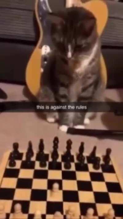 perfectly legal Move