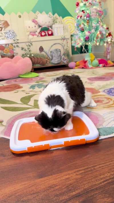 Painting with Phoebe: Kelly’s Heart 🩵