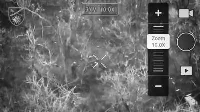 Russian soldiers were observed maiming each other to avoid going on assaults. Filmed by the 66th Separate Rifle Brigade. Lyman direction. January 2025