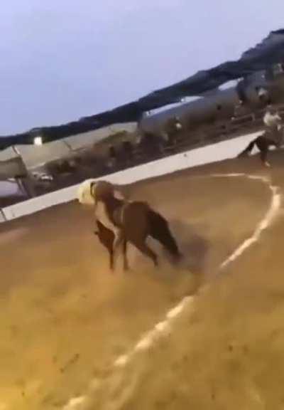 Sett ulting on Gekarim