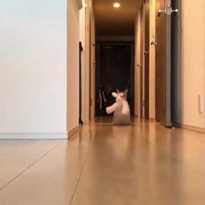 MRW i dont give a shit what people think