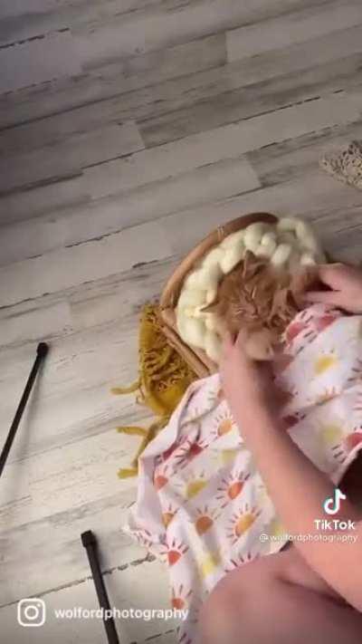 The most patient cat that I saw on TikTok, couldn’t resist sharing with y’all