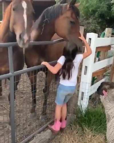 Sending some love to your horses can make others jealous.