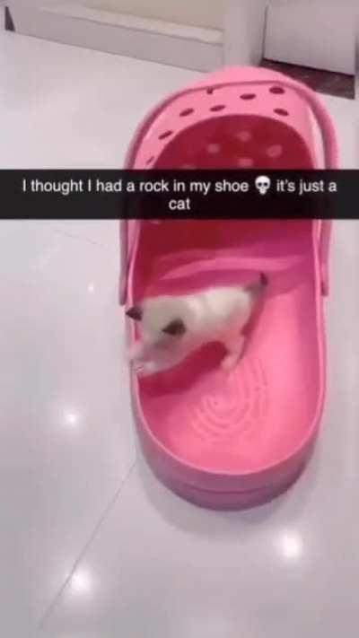 That's just plain illegal