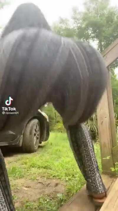 That shake is everything!