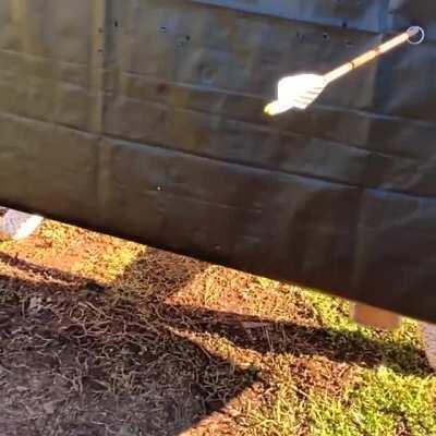 Ring pinned to target and arrow shot through ring.