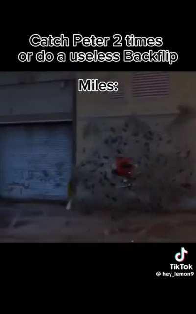 Guys I need your help. Write your pitch for the third installment of the useless backflip trilogy. 