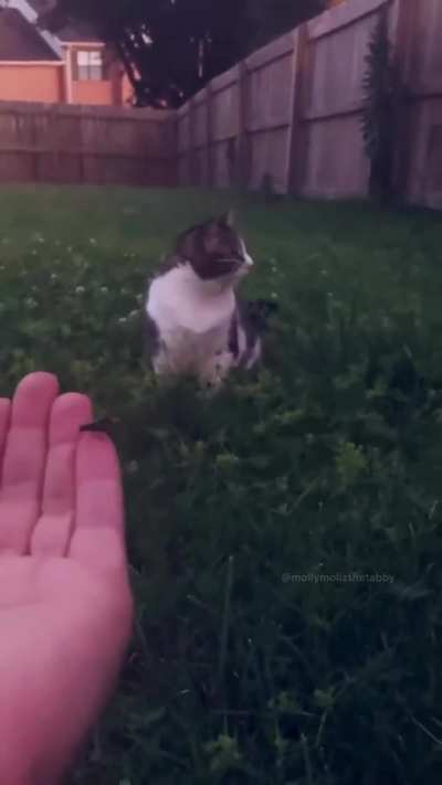 wunk could not believe her eyes