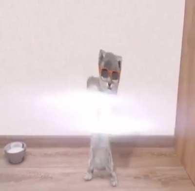 Y’all know the s ong?