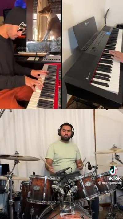 Melodic howling with Michael Tonga Music, French Fuse and Lilo ( @holaasoylilo )