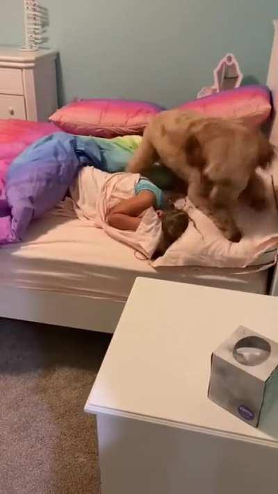 One heck of a wake up call!