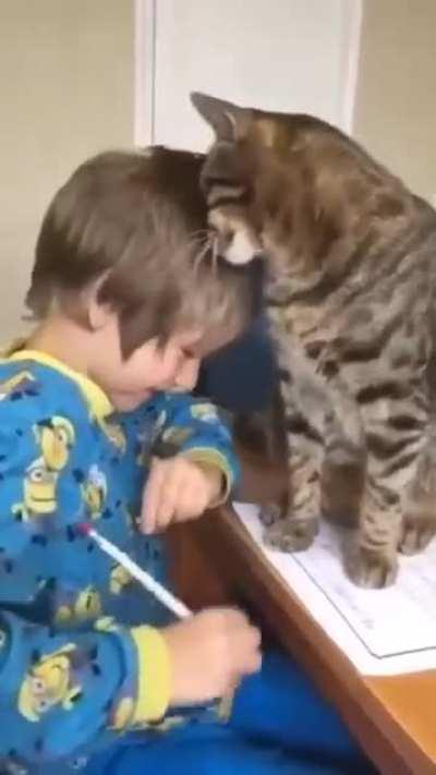 Jus wanted a little love, that's all