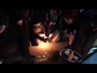 Portlands resident Antifa Clown 'Fire Shoes' does a dance for the crowd