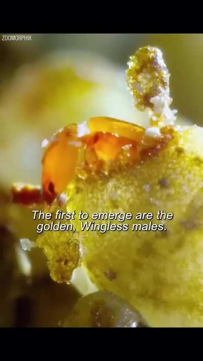 ye kya dekh liya bhai