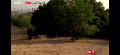 Joggers and dog walkers