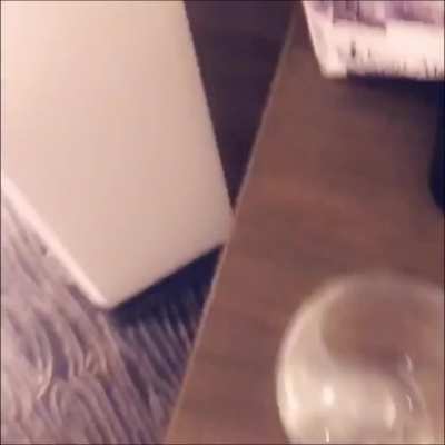 Be honest, would you take control of a cute femboy like me?