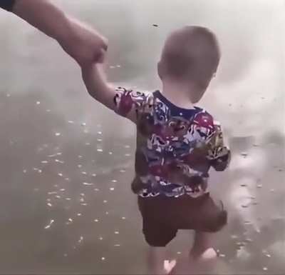 Dangers at the beach