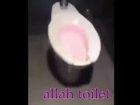 allah toilet 😂😂😂😂😂😂😂😂