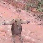 Força de vontade 💥🔥