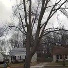 It’s all fucked...everything...is fucked