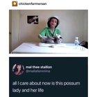 This lady who takes cares of possums that can no longer survive in the wild and also makes hilarious videos with them.