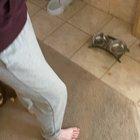 Playing punchies be like