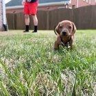 Literally the cutest thing I've ever seen. 😍