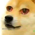 O Mano eu tenho 8 anos e já escuto trap uuuoooooouuuuuuu vamo phumar um nargas