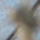 AAAAAAAAAAAAAAAAAAAAAAAAAAAAAAAAAAAAAAAAAAAAAAAAAAAAAAAA