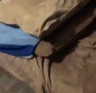 quarantine be affecting pets too🚫🥜