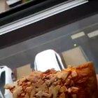 Scottish Harry Potter