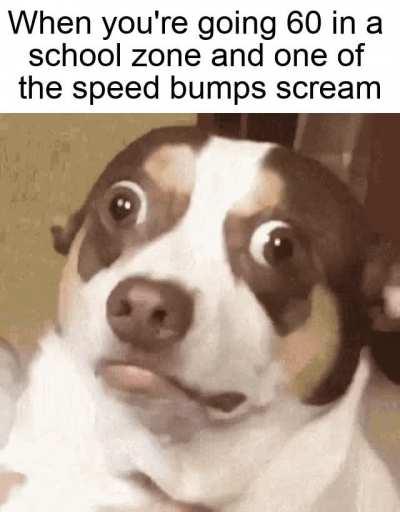 *Distant police sirens*