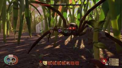 Killed a wolf spider with no armor and only Pebblet Axe(s)