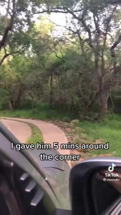 Every day they become more daring