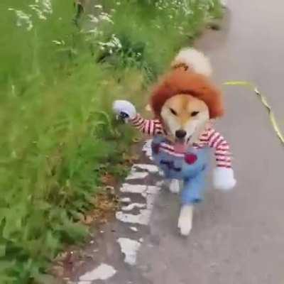 Dogecoin is coming up behind the bigger cryptos like: