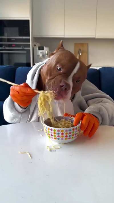 If you need a laugh; here you go