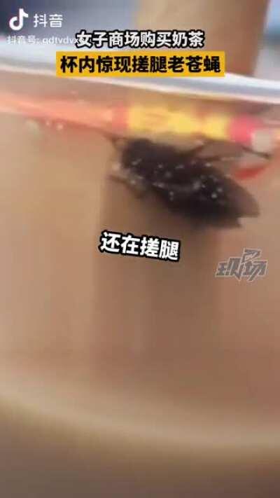 珍珠我只喝会动的