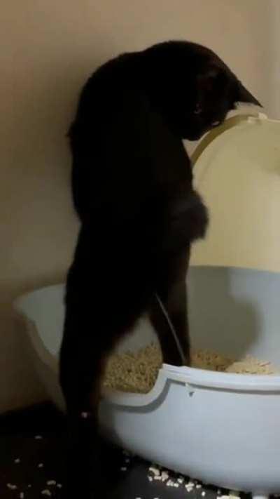 Sharp shooter, zero pee splashback