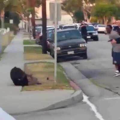 instagram.com/tierna_incertidumbre